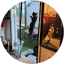 Val V. profile picture